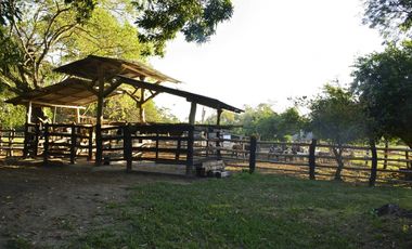 VENDO FINCA AGROPECUARIA COMPLETA O PARCIALMENTE EN AGUACHICA- CESAR