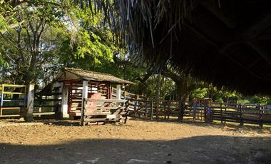 VENDO FINCA AGROPECUARIA COMPLETA O PARCIALMENTE EN AGUACHICA- CESAR