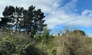 VENTA Terreno en Belloto Norte