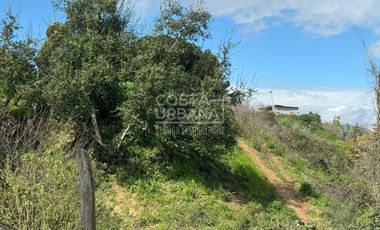 VENTA Terreno en Belloto Norte