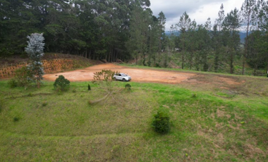 Venta lote el retiro Antioquia