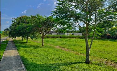 VENTA HERMOSO LOTE PLANO SECTOR LAS CASCADAS CERRITOS PEREIRA