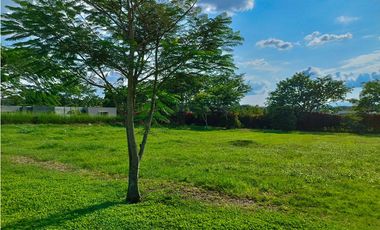 VENTA HERMOSO LOTE PLANO SECTOR LAS CASCADAS CERRITOS PEREIRA