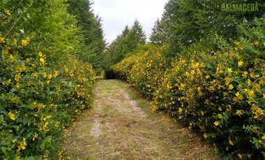 Casa en Venta en Puerto Elvira, Ancud