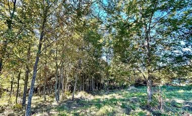 Casa en Venta en Segunda faja - Lefún.