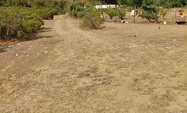 Parcela en Venta en pasado la Cuesta