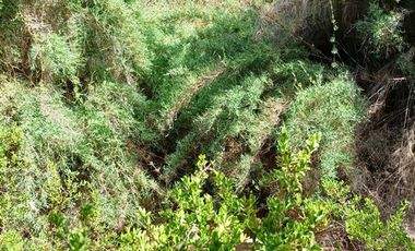 Parcela en Venta en pasado la Cuesta