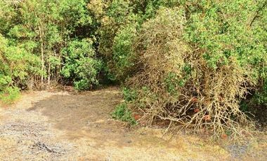 Parcela en Venta en pasado la Cuesta