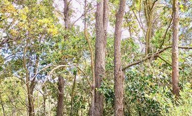 Parcela en Venta en pasado la Cuesta