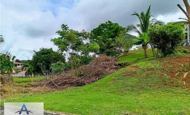 Vendo terreno de 1,000 mtrs en exclusiva zona de David