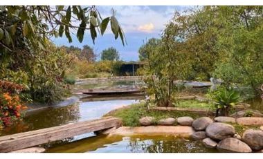 RANCHO CON HUERTA DE AGUACATE