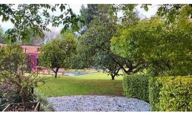 RANCHO CON HUERTA DE AGUACATE