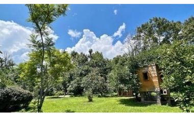 RANCHO CON HUERTA DE AGUACATE
