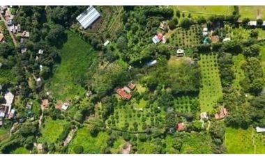 RANCHO CON HUERTA DE AGUACATE