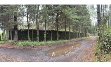 RANCHO EN VENTA EN LOS SAUCOS VALLE DE BRAVO