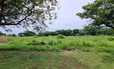 Land for sale at Palm Hills Golf Club and Residence