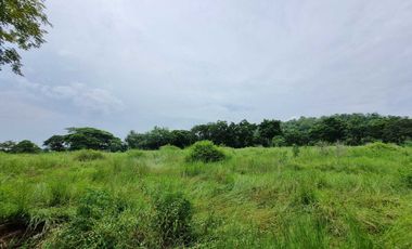 Land for sale at Palm Hills Golf Club and Residence