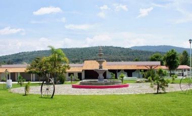 QUIERES VIVIR DENTRO DE LA NATURALEZA HERMOSO RANCHO EN SAN ISIDRO MAZATEPEC