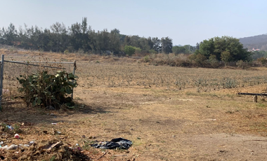 QUIERES VIVIR DENTRO DE LA NATURALEZA HERMOSO RANCHO EN SAN ISIDRO MAZATEPEC