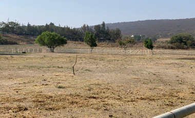 QUIERES VIVIR DENTRO DE LA NATURALEZA HERMOSO RANCHO EN SAN ISIDRO MAZATEPEC