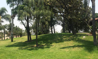QUIERES VIVIR DENTRO DE LA NATURALEZA HERMOSO RANCHO EN SAN ISIDRO MAZATEPEC
