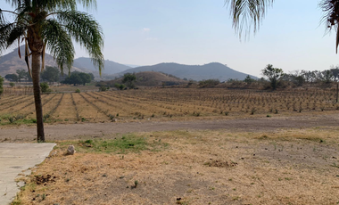 QUIERES VIVIR DENTRO DE LA NATURALEZA HERMOSO RANCHO EN SAN ISIDRO MAZATEPEC
