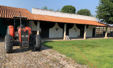 QUIERES VIVIR DENTRO DE LA NATURALEZA HERMOSO RANCHO EN SAN ISIDRO MAZATEPEC