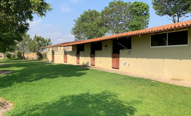 QUIERES VIVIR DENTRO DE LA NATURALEZA HERMOSO RANCHO EN SAN ISIDRO MAZATEPEC