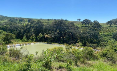EXCELENTE OPORTUNIDAD RANCHO O HUERTA AGUACATERA