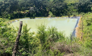 EXCELENTE OPORTUNIDAD RANCHO O HUERTA AGUACATERA