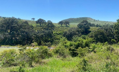 EXCELENTE OPORTUNIDAD RANCHO O HUERTA AGUACATERA