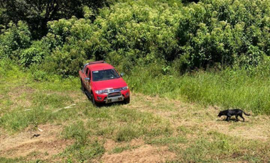 EXCELENTE OPORTUNIDAD RANCHO O HUERTA AGUACATERA