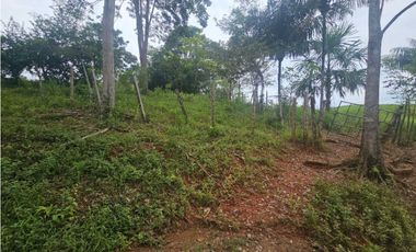 Se vende finca de 67 has con proyecto de cantera en Darién, Metetí