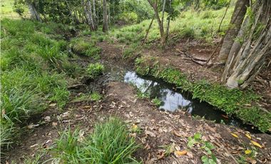 Se vende finca de 126 hectáreas en Metetí, Darién