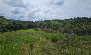 Se vende finca de 126 hectáreas en Metetí, Darién