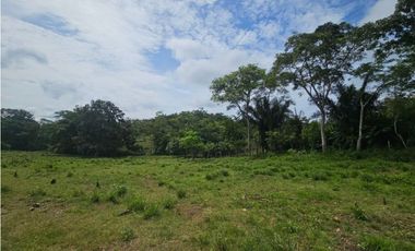Se vende finca de 126 hectáreas en Metetí, Darién