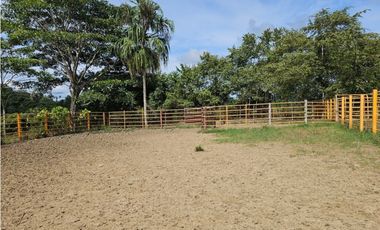 Se vende finca de 126 hectáreas en Metetí, Darién