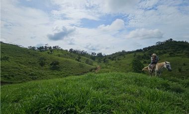 Se vende finca de 126 hectáreas en Metetí, Darién