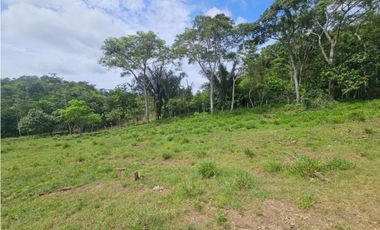 Se vende finca de 126 hectáreas en Metetí, Darién