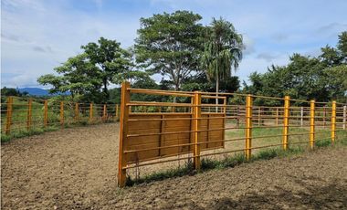 Se vende finca de 126 hectáreas en Metetí, Darién