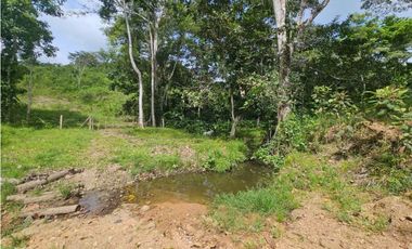 Se vende finca de 126 hectáreas en Metetí, Darién