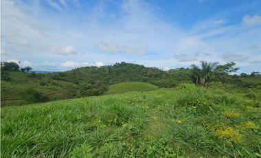 Se vende finca de 126 hectáreas en Metetí, Darién