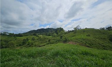 Se vende finca de 126 hectáreas en Metetí, Darién