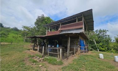 Se vende finca de 126 hectáreas en Metetí, Darién
