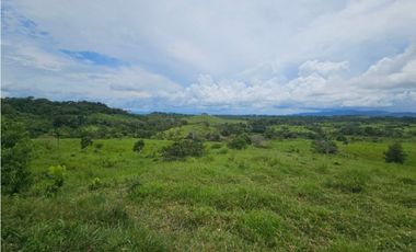 Se Vende Finca ganadera de 152 has en Darién