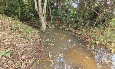 Se Vende Finca ganadera de 152 has en Darién