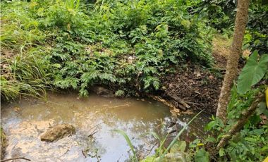 Se Vende Finca ganadera de 152 has en Darién