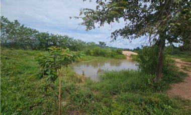 Se Vende Finca ganadera de 152 has en Darién