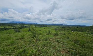 Se Vende Finca ganadera de 152 has en Darién