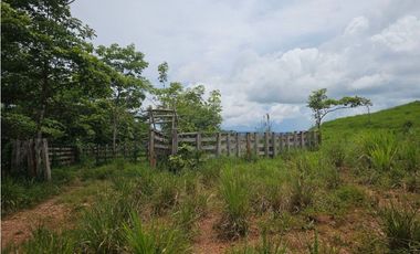 Se Vende Finca ganadera de 152 has en Darién